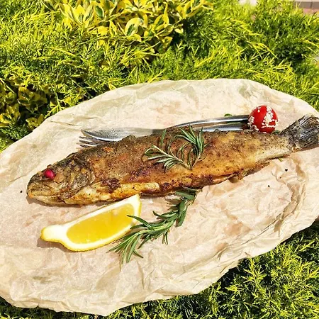 Koral * Верхній Коропець