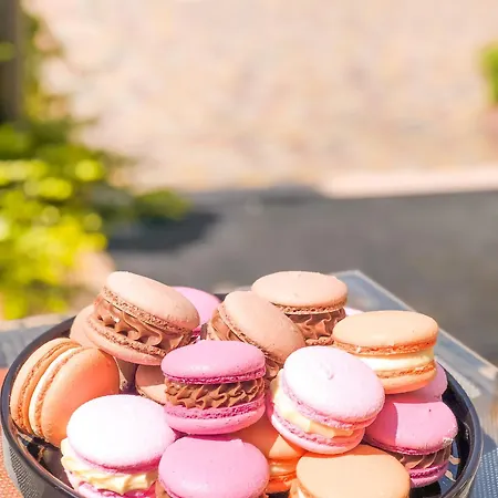 Koral Hotel Verkhniy Koropets